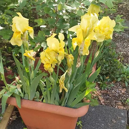 Galerie In Apartman Hürth