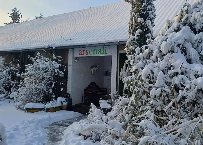 Galerie In דירה הירט